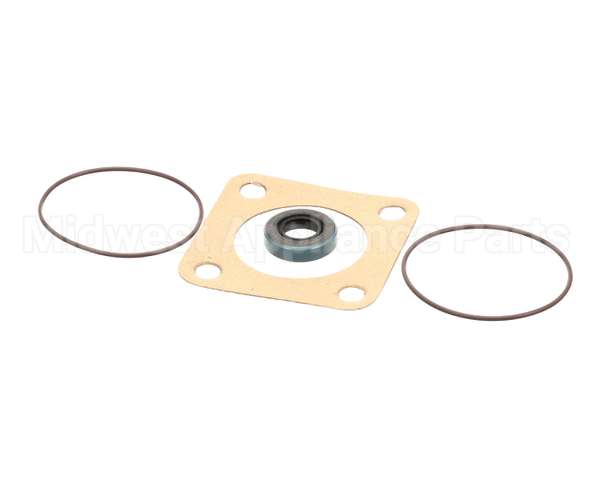 807-1197-3 Frymaster Viking Pump Seal Kit