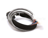 8073584 Frymaster Cable, H50/52 Filter