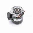 9667 Century Refrigeration Motor