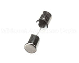 976149 Vacmaster Fuse