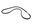 97J59 Lennox V-Belt 69" Bx66