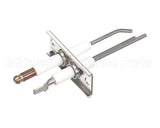 9875-002-003 Dexter Electrode