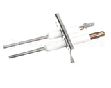 9875-002-003 Dexter Electrode