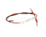 990113200 Hamilton Beach Fuse W/ Wire Assembly