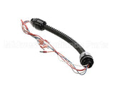 997-V2-3 Globe Harness,3750/3875V