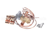 9971070320 Mammoth Txv