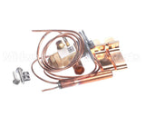 9971070320 Mammoth Txv