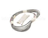 9B1010 American Panel 120V Element