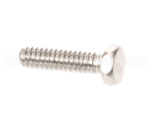 1307 Globe Screw