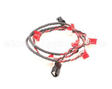 A-10-009-SP Sure Shot-Ac Dispensing Fs5 Motor Harness