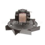 A03003 Equipex Motor 120V