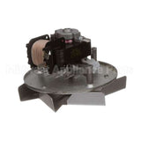 A03003 Equipex Motor 120V