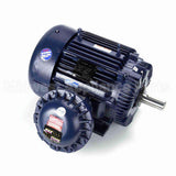 A081 Fasco Motor