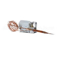 A19AGD-18 Omniteam Thermostat