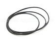 A21375 Armstrong International O Ring For 700