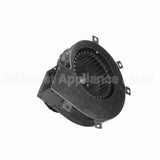 A281 Fasco Motor
