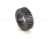 A293 Globe Gear, Nylon