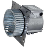 A37652 Compatible American Range Motor