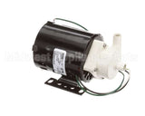 A533-033 Grindmaster Cecilware Gri Sprayover Pump 120Vac