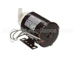 A533-033 Grindmaster Cecilware Gri Sprayover Pump 120Vac