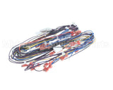 A550-277 Grindmaster Cecilware Harness Pb-430 Main Low Volt