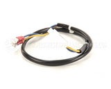 B6745502 Anets Wiring,Hi Lim 24Vac Sg