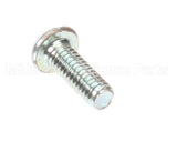 916-8 Globe Screw