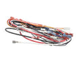A71971 Grindmaster Cecilware Wire Harness