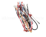 A71971 Grindmaster Cecilware Wire Harness
