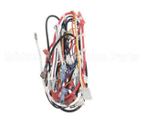 A71971 Grindmaster Cecilware Wire Harness