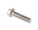 1307 Globe Screw