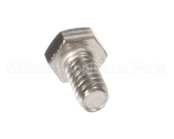 975-1 Globe Screw, Motor Shell S.s.