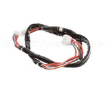 8074773 Frymaster Harness, Controls Lov Dv