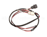 2073986 Beverage Air Wiring Harness