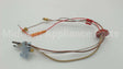 AP14318B-1 Rheem-Ruud Pilot Assembly Lp