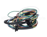AP14562-2 Rheem-Ruud Wiring Harness - Power Vent