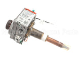 AP14732A Rheem-Ruud Natural Gas Thermostat