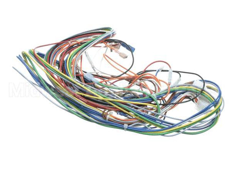 AR60-542.1 Varimixer Wire Harness