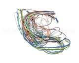 AR60-542.1 Varimixer Wire Harness