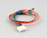 AT0A-2719-2 Accutemp Igniton Module Harness Assembly G1 Gas S