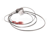 AT0A-3519-3 Accutemp Evolution Gas Reed Switch & Wire Harness
