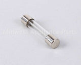 AT0E-2731-1 Accutemp Fuse, Slo Blow, 3 Amp