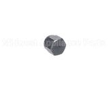 AT27DD101 Carrier Acorn Hex Motor Nut