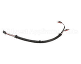 AU8022 Unic Aura Ssr Wire 12V