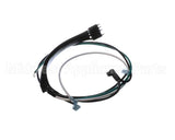 504-823C Beverage Air Harness - Wire Evap Wtrcs