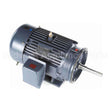 B194120.00 Leeson Close Coupled Pump Motor