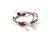 130121 Globe Wiring Harness 4600