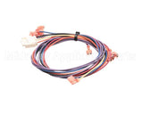 1068425 Frymaster Wire Assembly,Temp Control To Interf