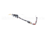 B5006113-C Pitco Accs,Fl Hose Assembly W/Ht 220Vsef