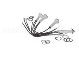 B502176 Champion - Moyer Diebel Light, Pilot- Red, .375 28Vac